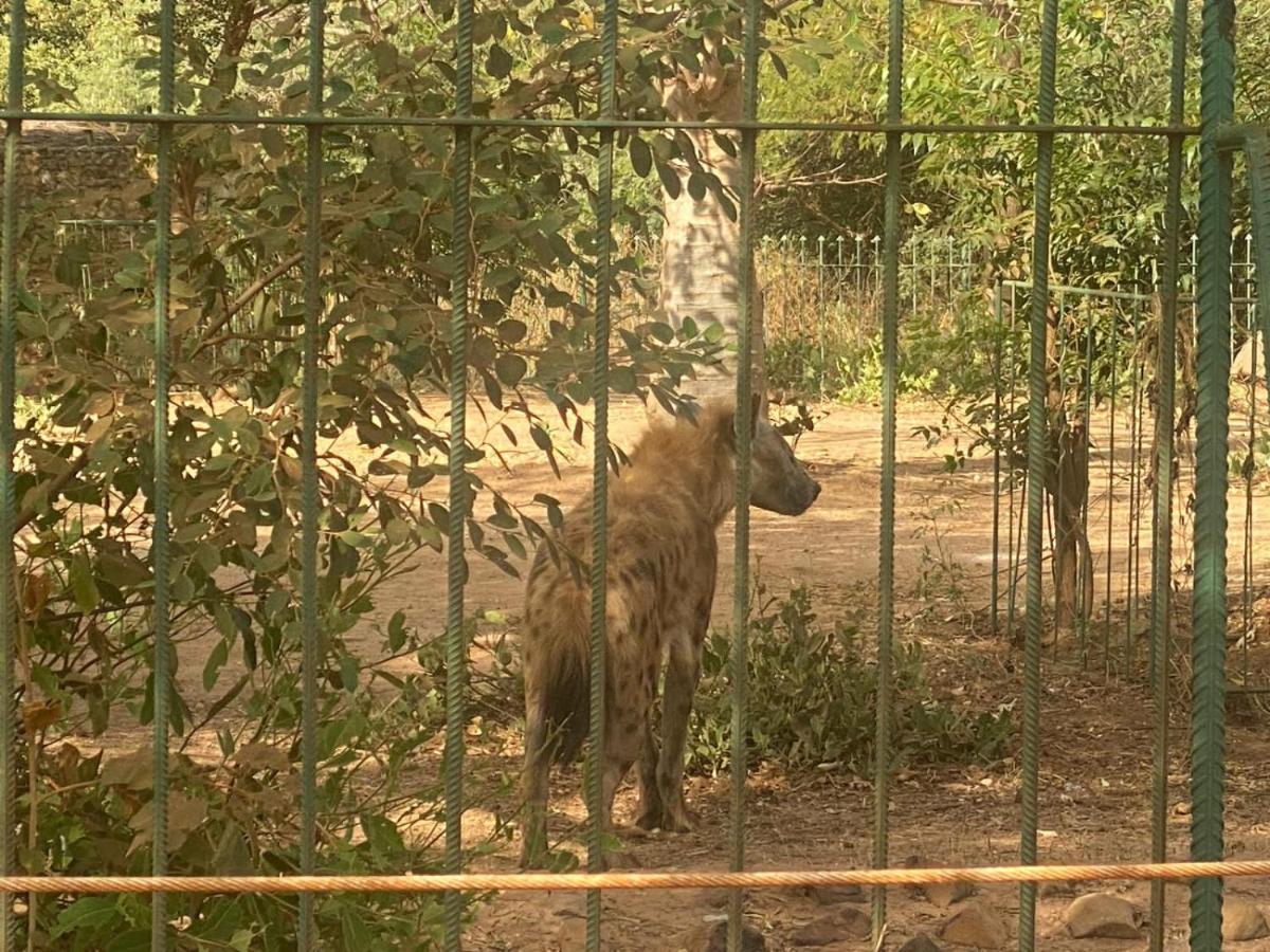 Auberge Africa Thiossane Saly Portudal Esterno foto